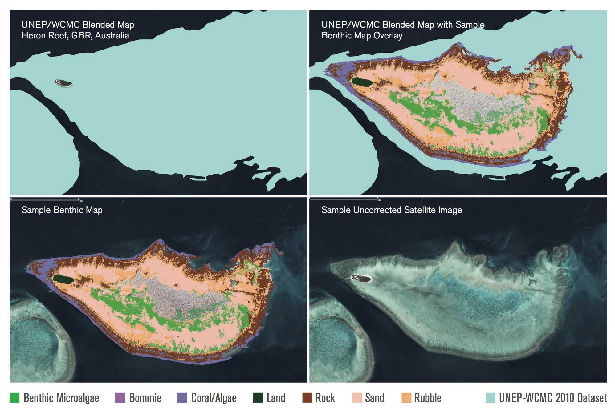 Allen Coral Atlas: An Initiative to Improve Coral Reef Management and Conservation