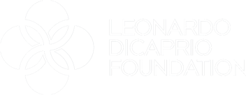 Leonardo DiCaprio Foundation