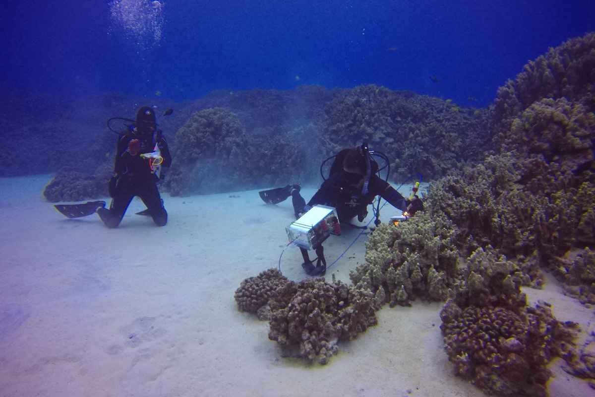 Reefscape